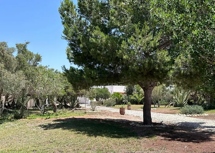 Domaine De L'Arganeraie Essaouira